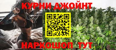 индика Бердск