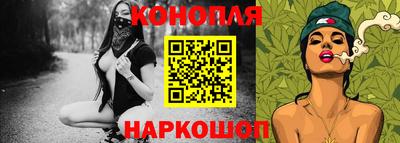 индика Бердск