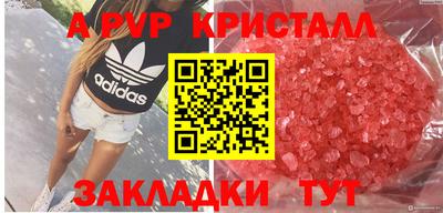 jwh Белореченск